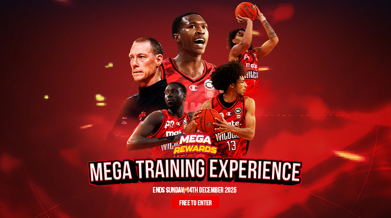 Mega Training Experience