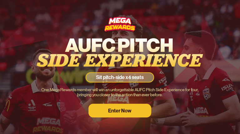 Mega Training Experience