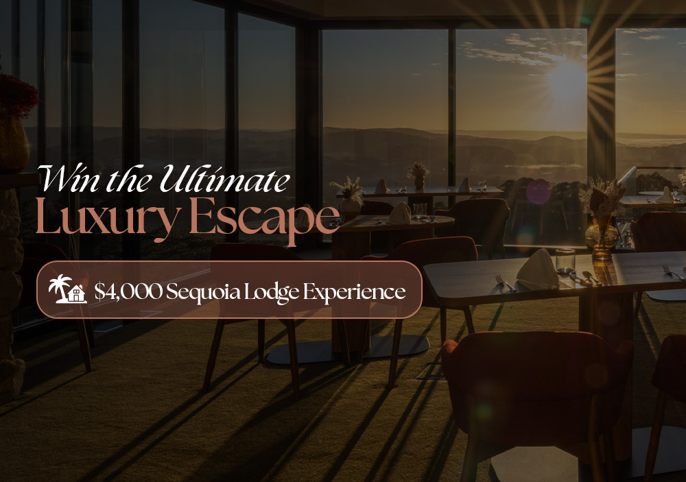 4K Luxury Escape